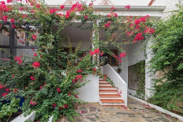 Casa Rural Collao De Lobo Serradilla 외부 사진